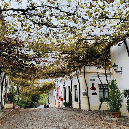 Apartamento Atico Sonnenschein Jerez de la Frontera Exterior foto