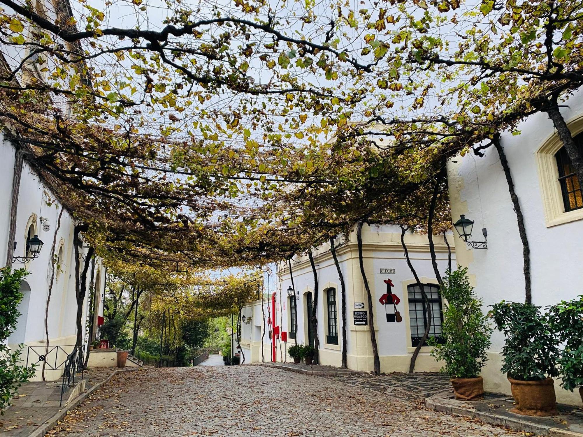 Apartamento Atico Sonnenschein Jerez de la Frontera Exterior foto