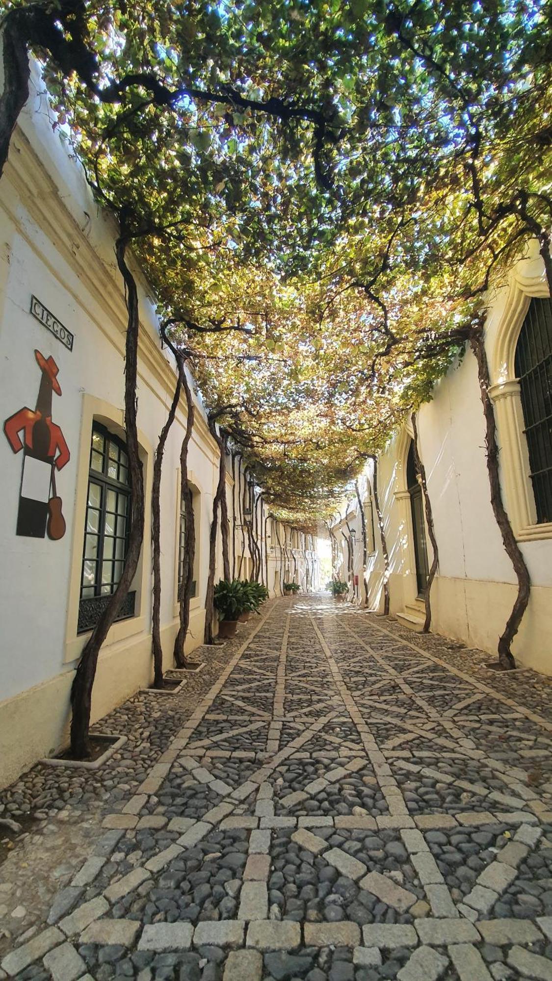 Apartamento Atico Sonnenschein Jerez de la Frontera Exterior foto
